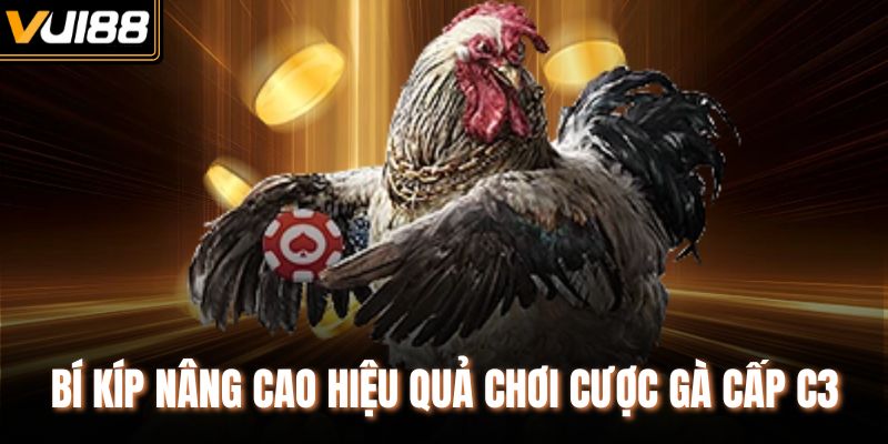 Bí kíp nâng cao hiệu quả chơi cược gà cấp C3