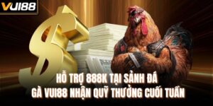 Hỗ Trợ 888K Tại Sảnh Đá Gà Vui88 Nhận Quỹ Thưởng Cuối Tuần