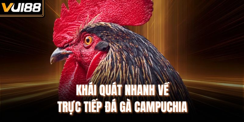 Khái quát nhanh về trực tiếp đá gà Campuchia