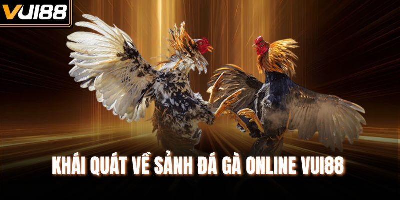 Khái quát về sảnh đá gà Online Vui88 