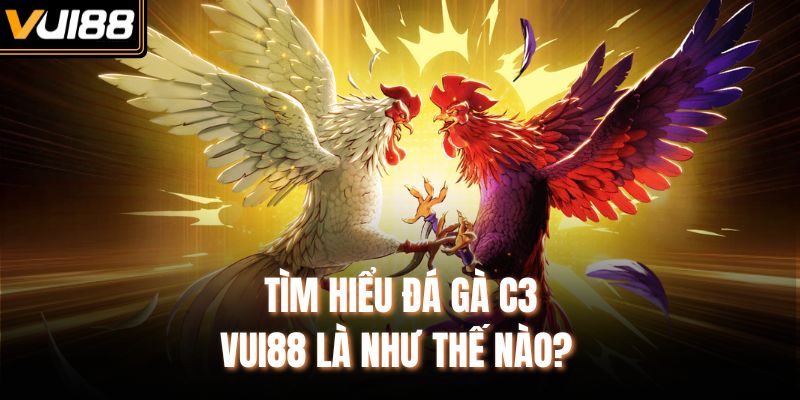 Tìm hiểu đá gà C3 VUI88 là như thế nào? 