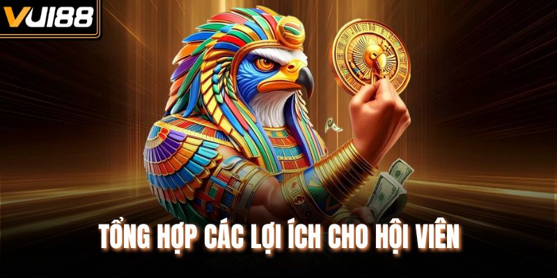 Tổng hợp các lợi ích cho hội viên